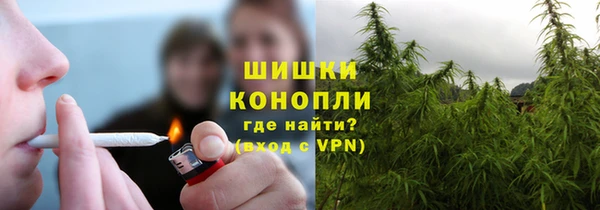 шишки Баксан