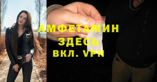 шишки Баксан