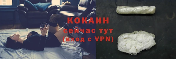 шишки Баксан