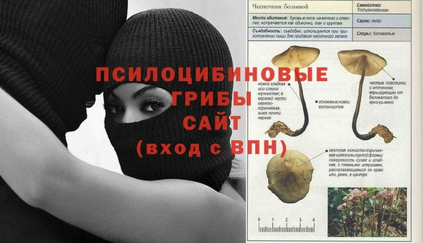 шишки Баксан