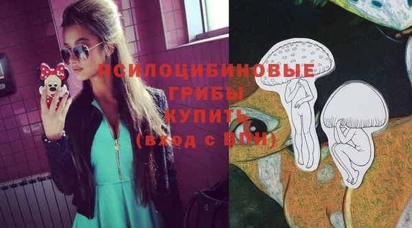 шишки Баксан