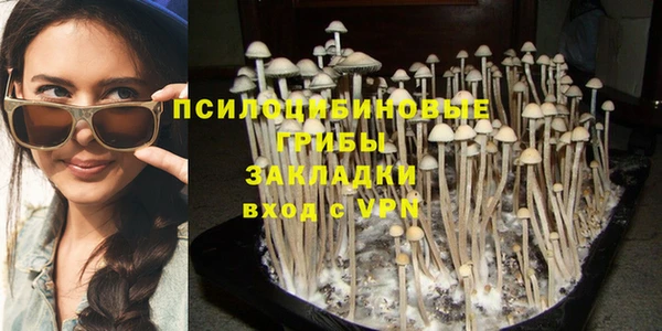 шишки Баксан