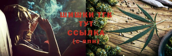 шишки Баксан