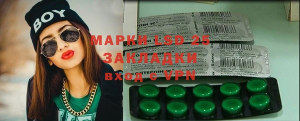 шишки Баксан