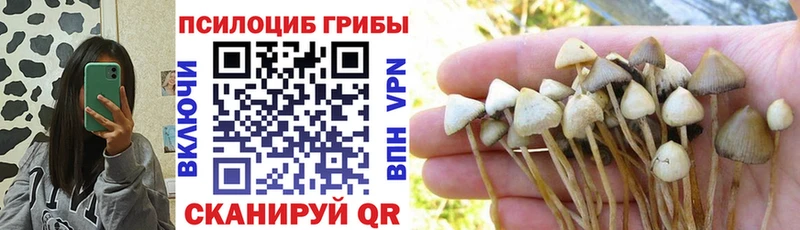 Галлюциногенные грибы мицелий  мега маркетплейс  Соль-Илецк 