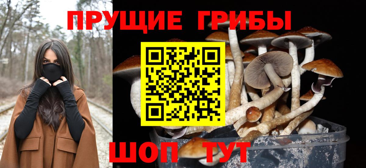 Соль-Илецк  Галлюциногенные грибы Psilocybe  купить закладку  Вход с VPN 